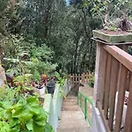 Refugio Luz De Vida Anaga