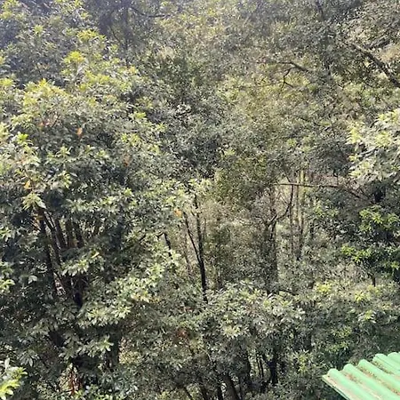 Refugio Luz De Vida Anaga 산타크루스데 테네리페