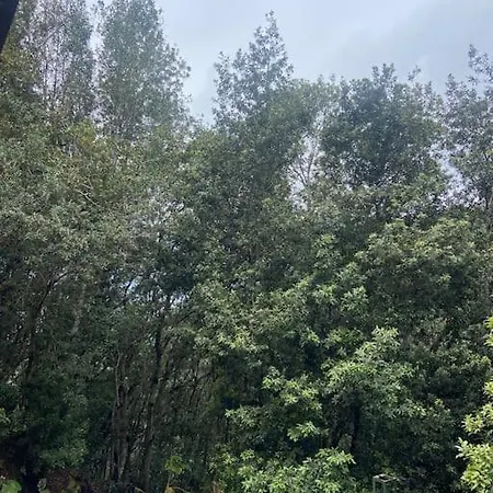 펜션 Refugio Luz De Vida Anaga *