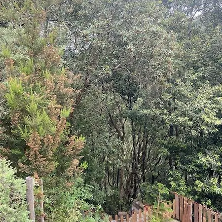 Feriehus Refugio Luz De Vida Anaga Santa Cruz de Tenerife