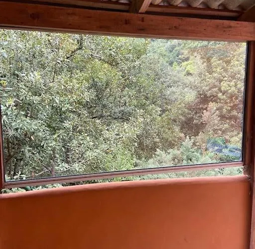 Refugio Luz De Vida Anaga 산타크루스데 테네리페