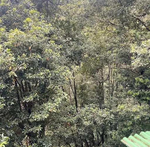 Refugio Luz De Vida Anaga 산타크루스데 테네리페