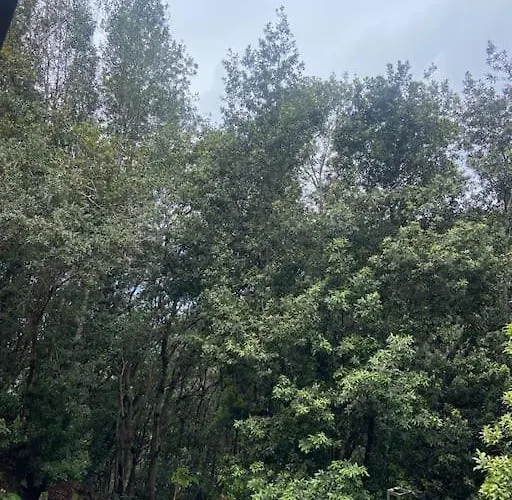 Σπίτι διακοπών Refugio Luz De Vida Anaga *