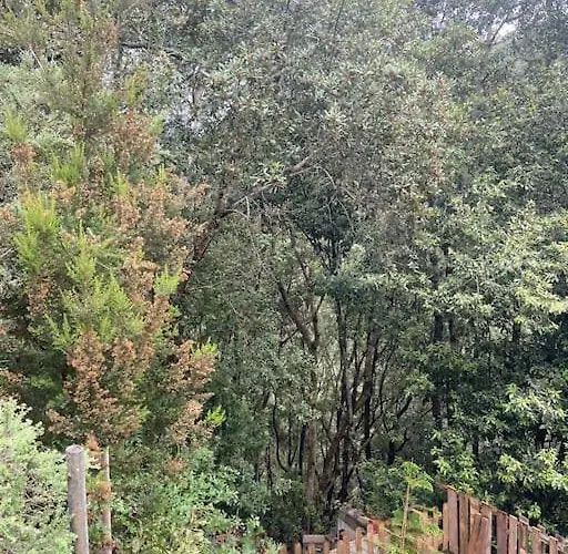 Σπίτι διακοπών Refugio Luz De Vida Anaga Σάντα Κρουζ Τενερίφης